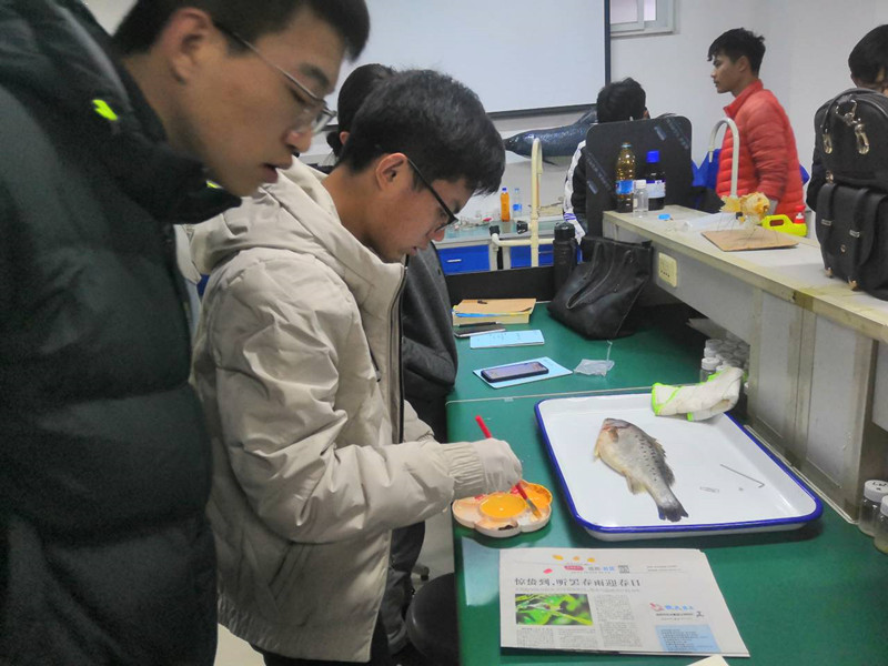 国产成人精品一区二区三区