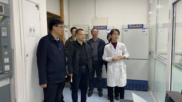 国产成人精品一区二区三区