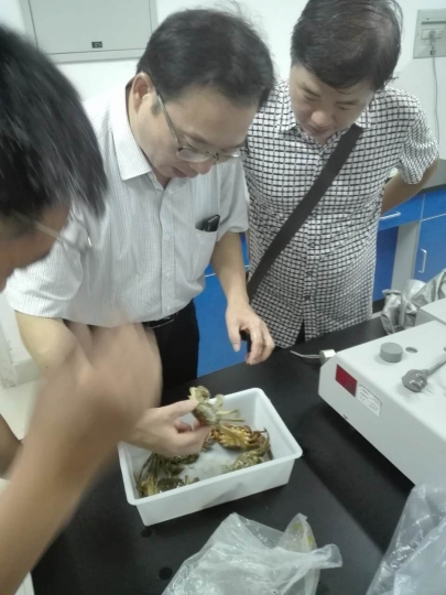 国产成人精品一区二区三区