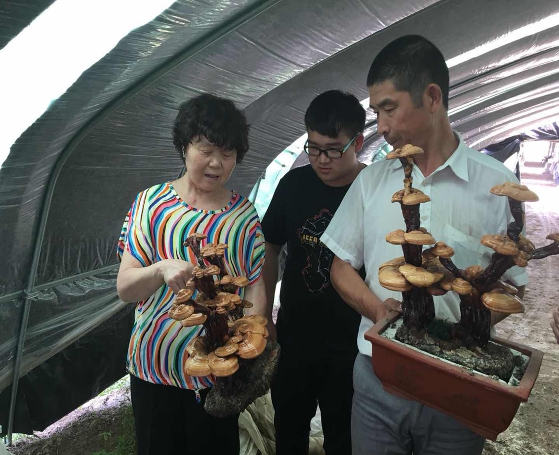 国产成人精品一区二区三区