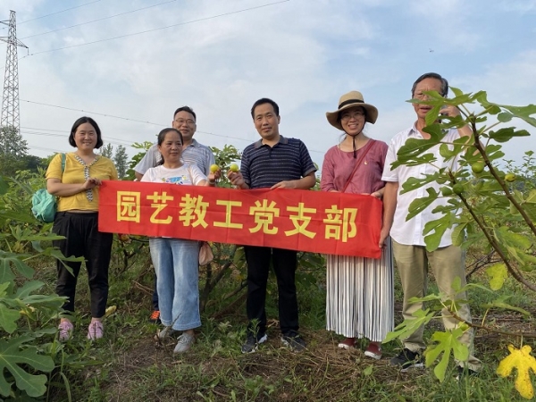 国产成人精品一区二区三区