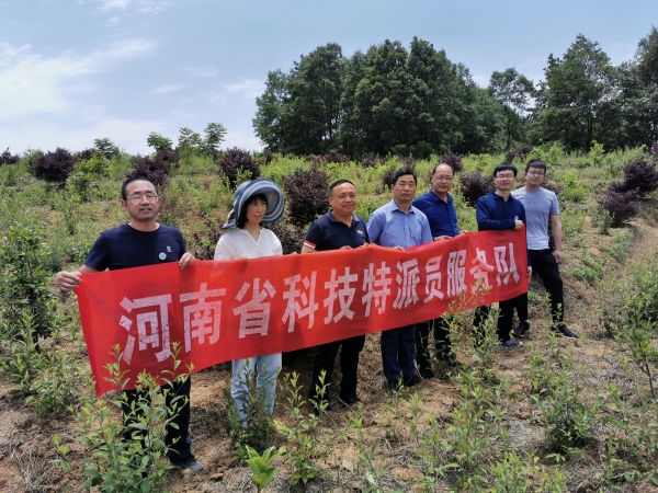 国产成人精品一区二区三区