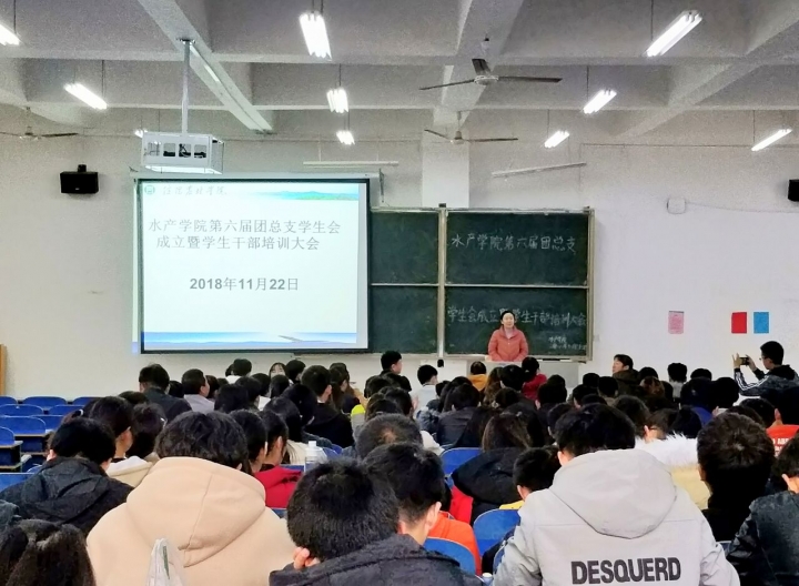 国产成人精品一区二区三区