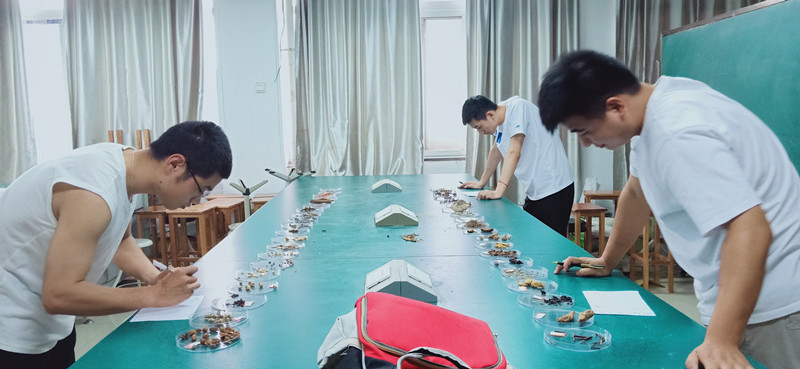 国产成人精品一区二区三区