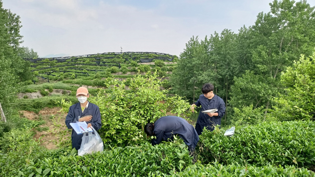 国产成人精品一区二区三区