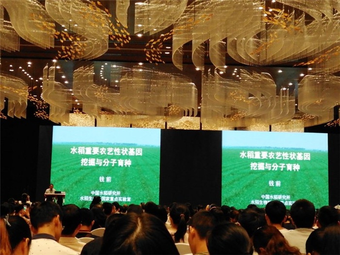 国产成人精品一区二区三区