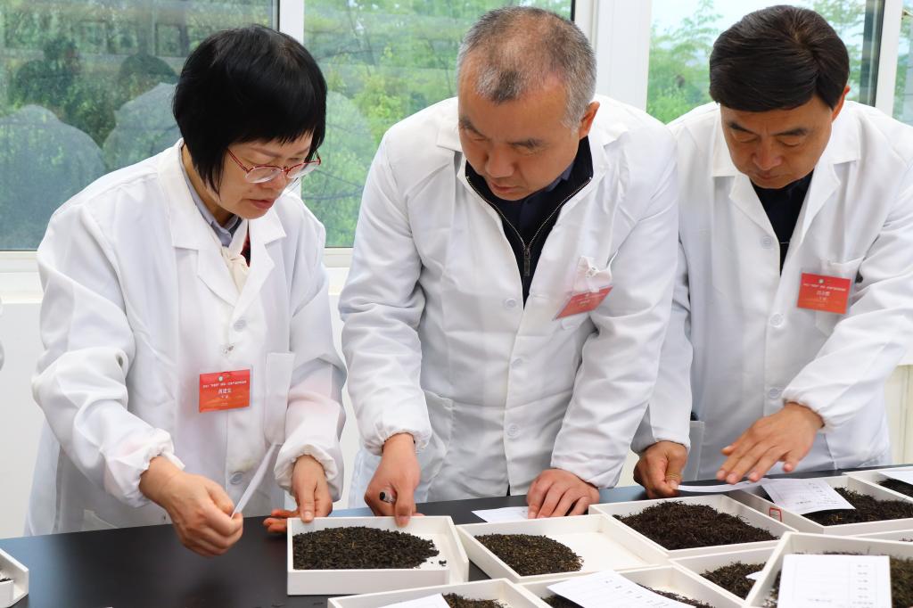 国产成人精品一区二区三区