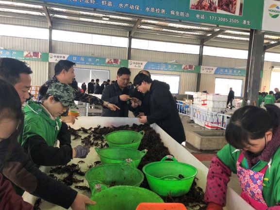 国产成人精品一区二区三区