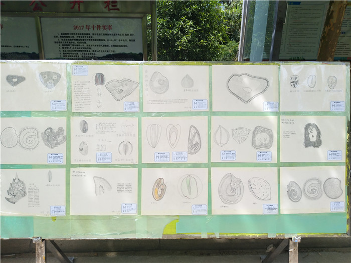 国产成人精品一区二区三区