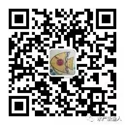国产成人精品一区二区三区